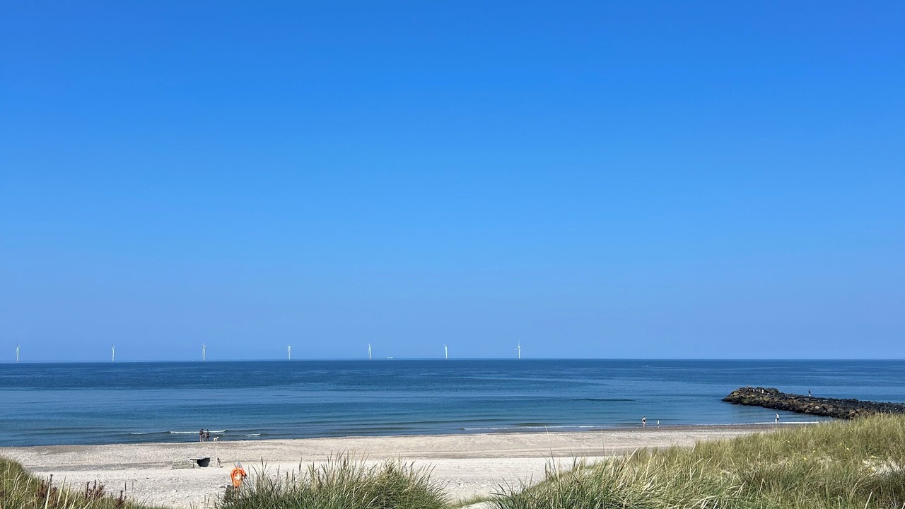 Photo of Others in Harboore