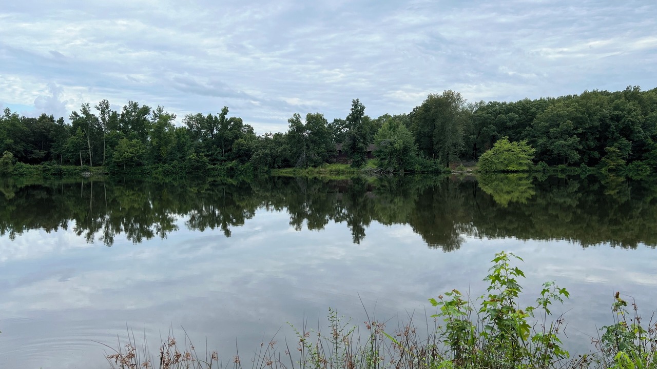 Photo of Others in Cabot