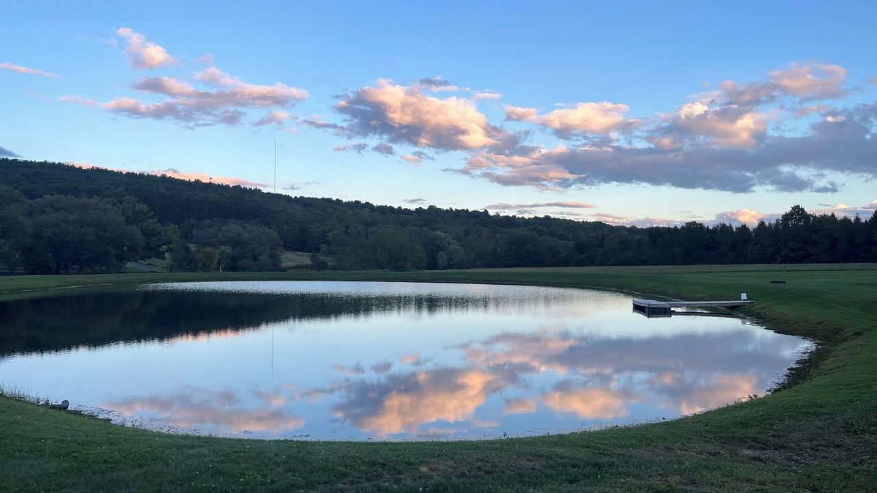 Photo of Others in Dundee