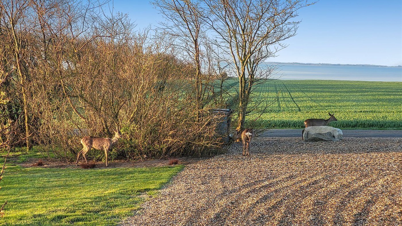 Photo of Outdoor in Redsted