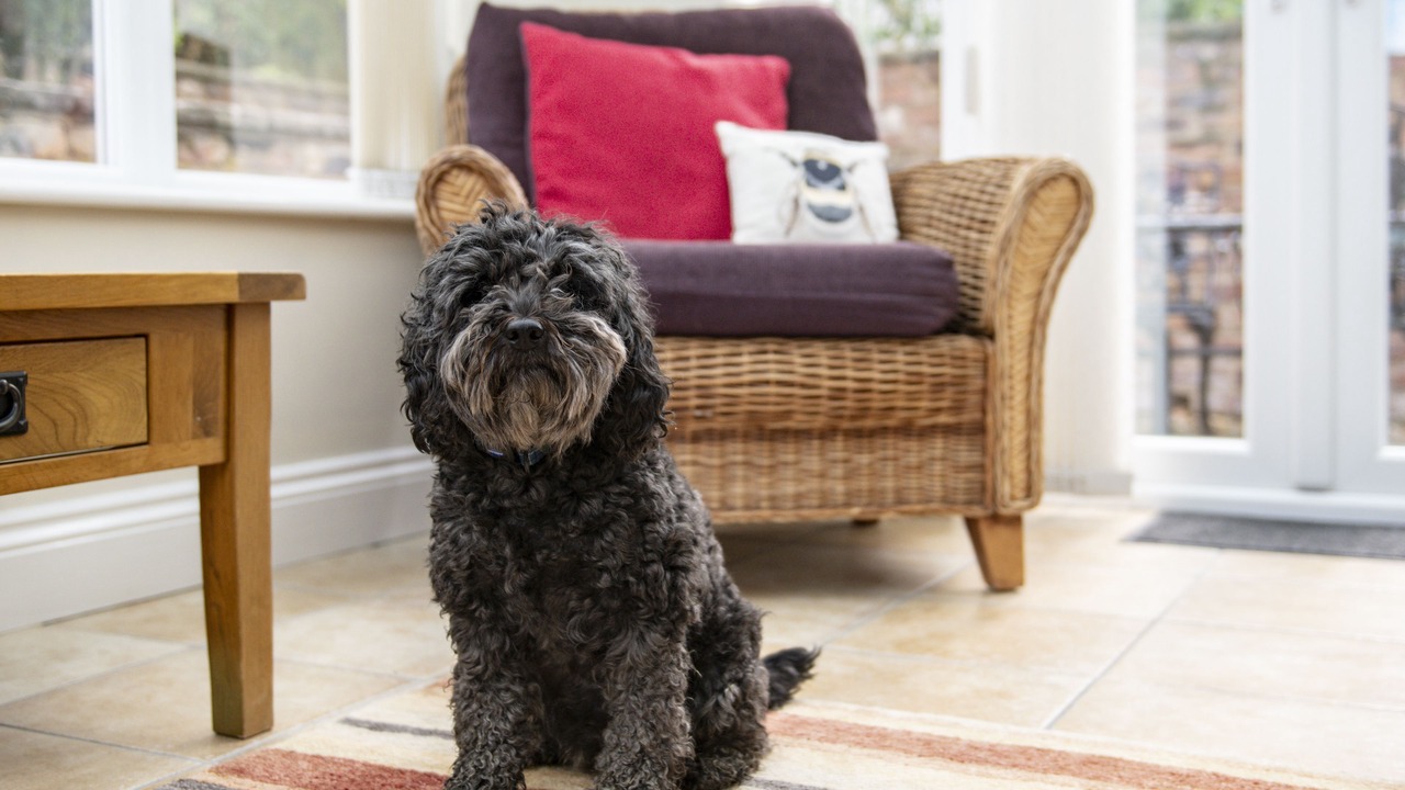 Photo of Others in Huggate