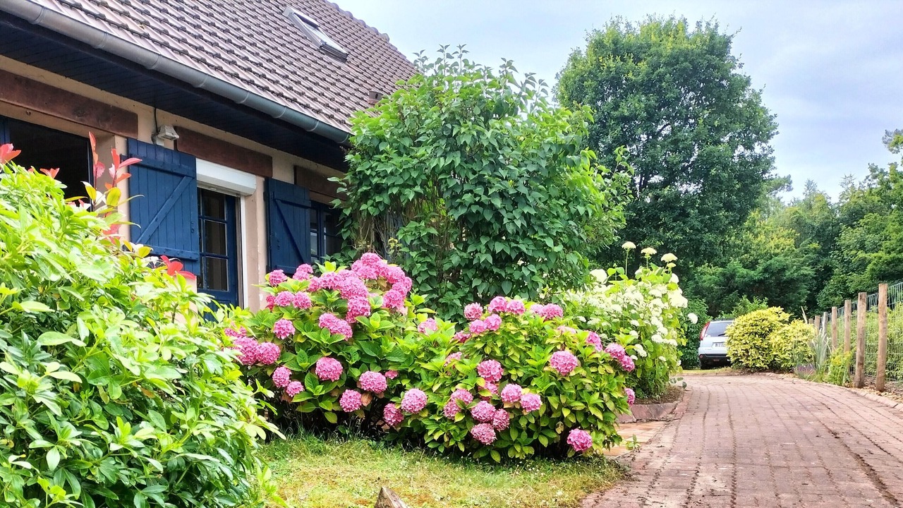 Photo of Outdoor in Le Touquet-Paris-Plage