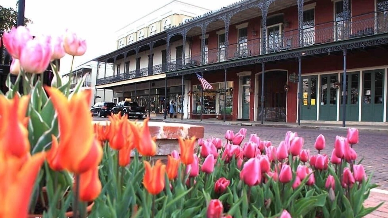 Photo of Others in Natchitoches