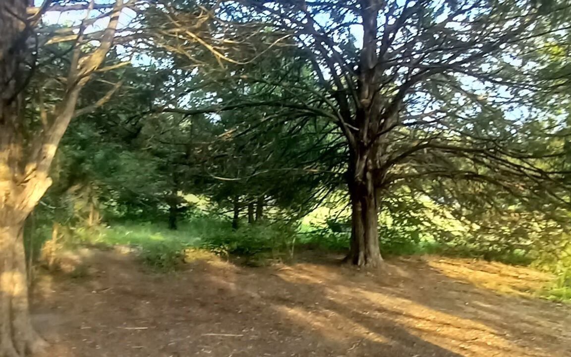 Photo of Outdoor in Elkland