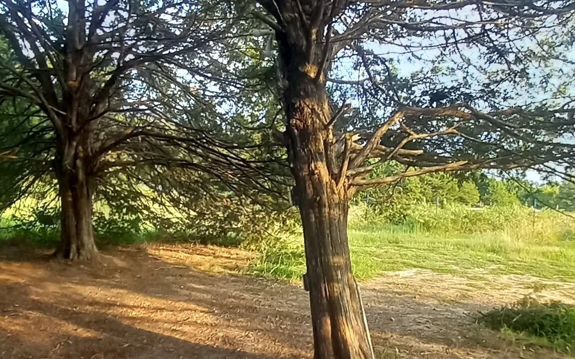 Photo of Outdoor in Elkland