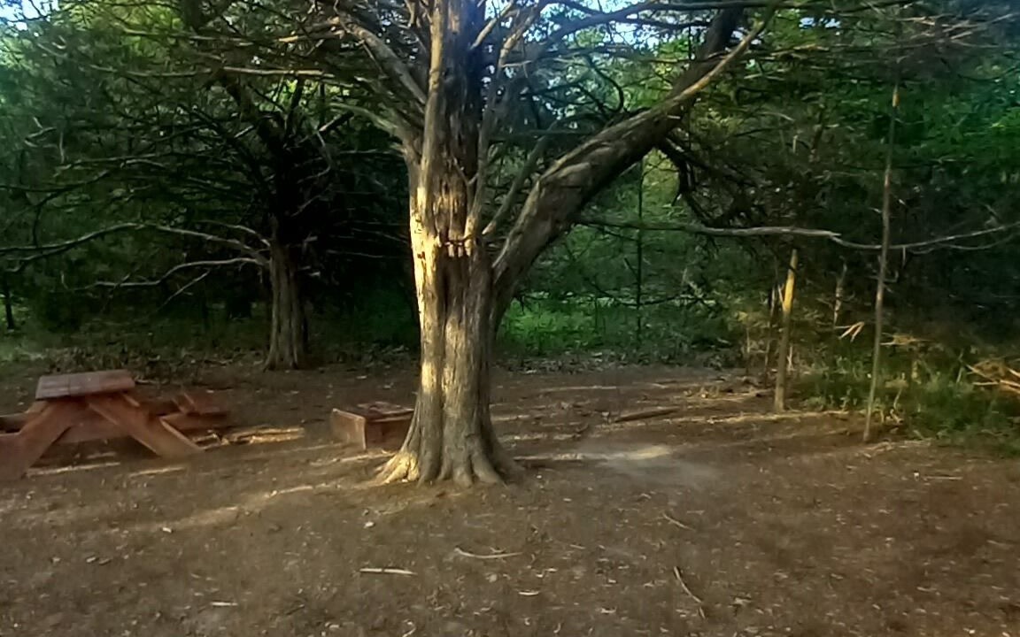 Photo of Outdoor in Elkland