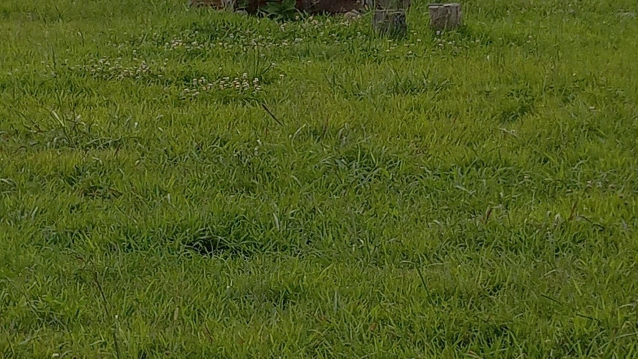 Photo of Others in Elkland