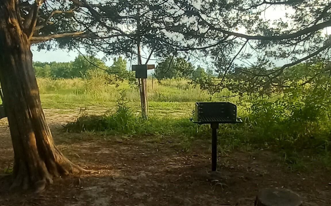 Photo of Outdoor in Elkland