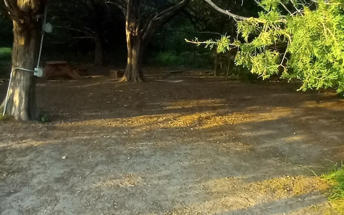 Photo of Outdoor in Elkland