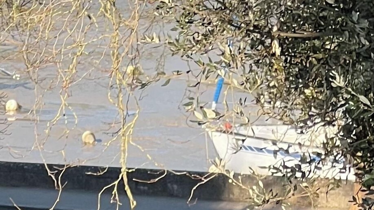 Photo of Others in Pornic