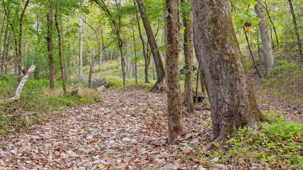 Photo of Others in Ozark