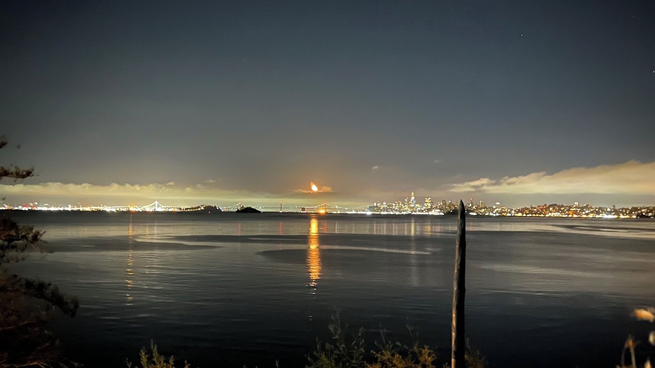 Photo of Others in Sausalito