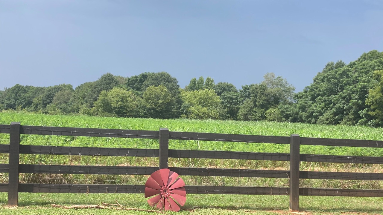 Photo of Outdoor in Arnoldsville