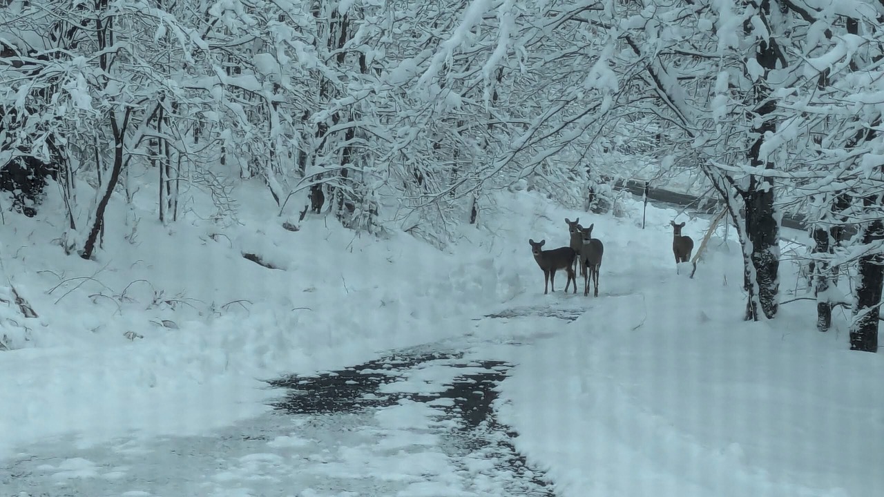 Photo of Others in Stamford