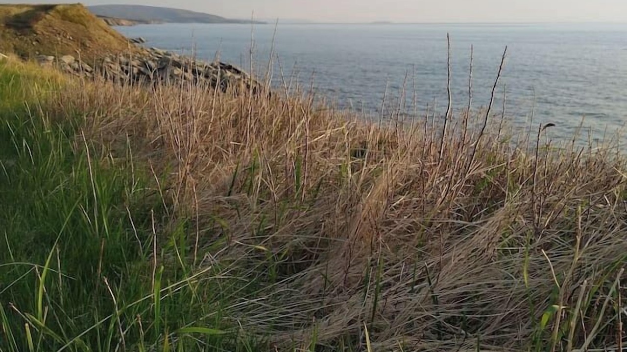 Photo of Others in Cap Le Moine