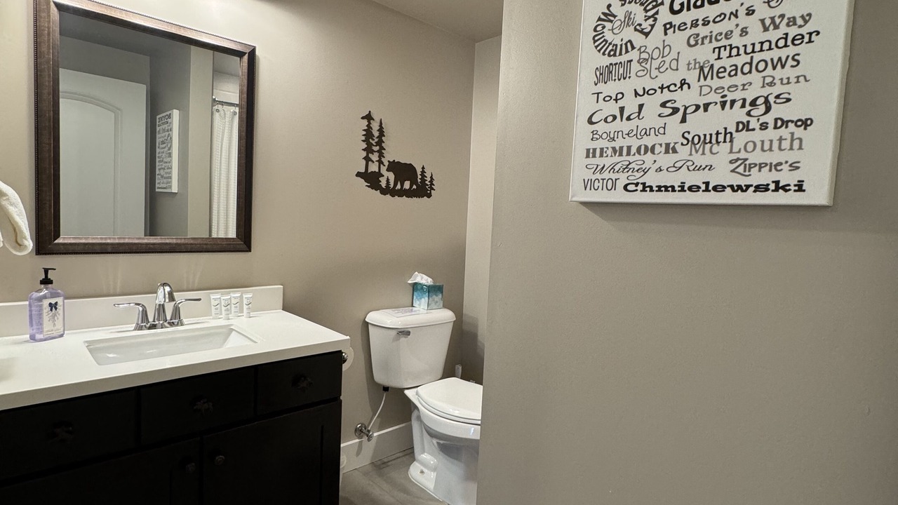 Photo of Bathroom in Boyne City