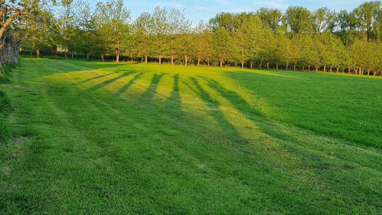 Photo of Others in Plevin