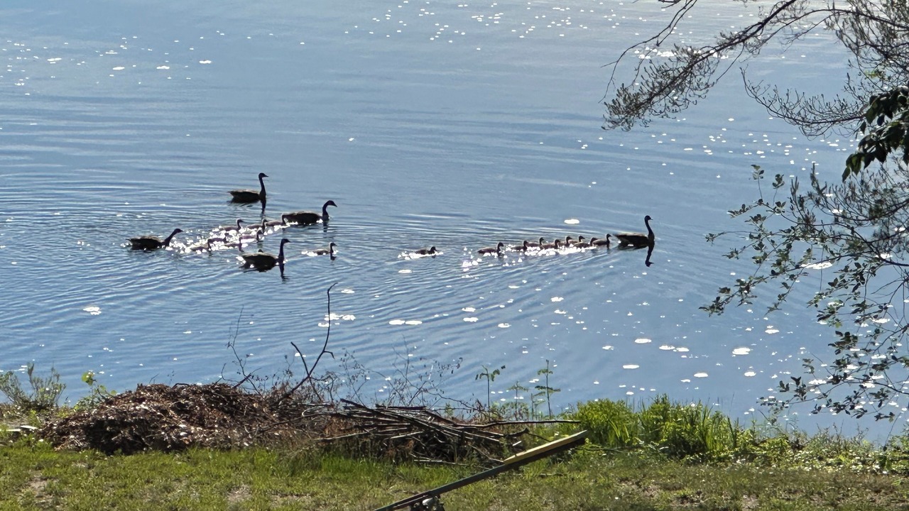 Photo of Others in Schroon Lake