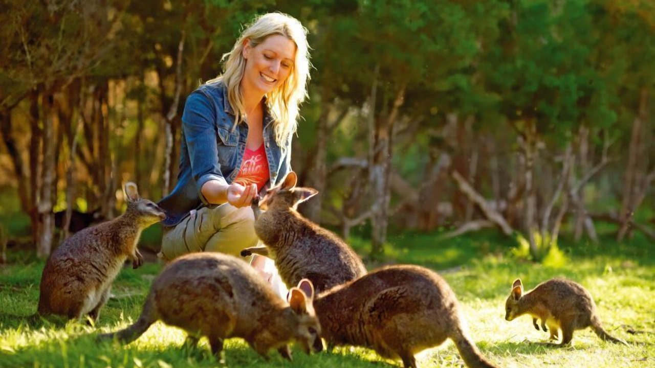 Photo of Others in Junction Village