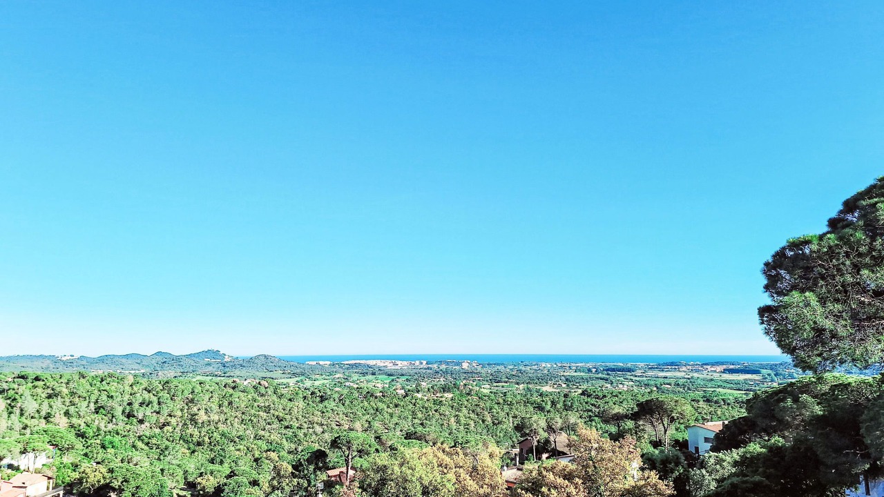 Photo of Others in El Mas Mora