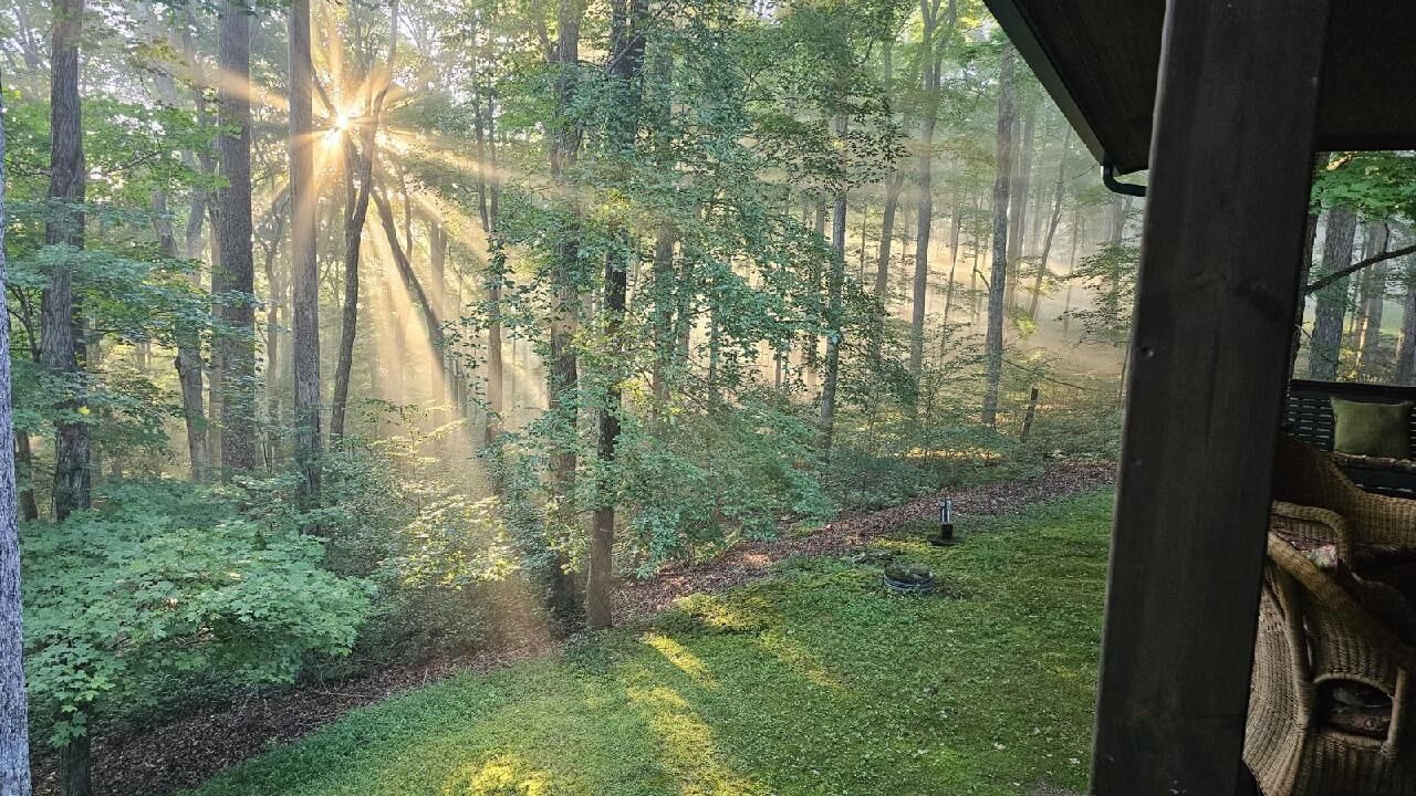 Photo of Outdoor in Helmsburg