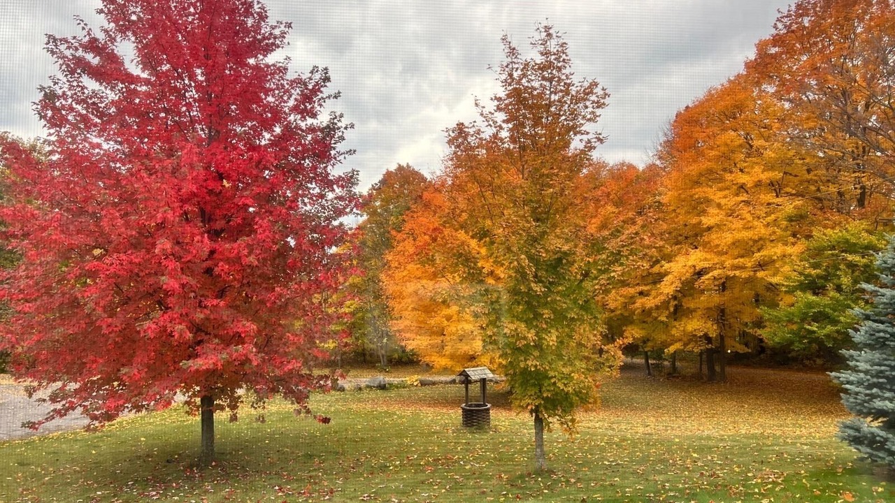 Photo of Others in Colborne