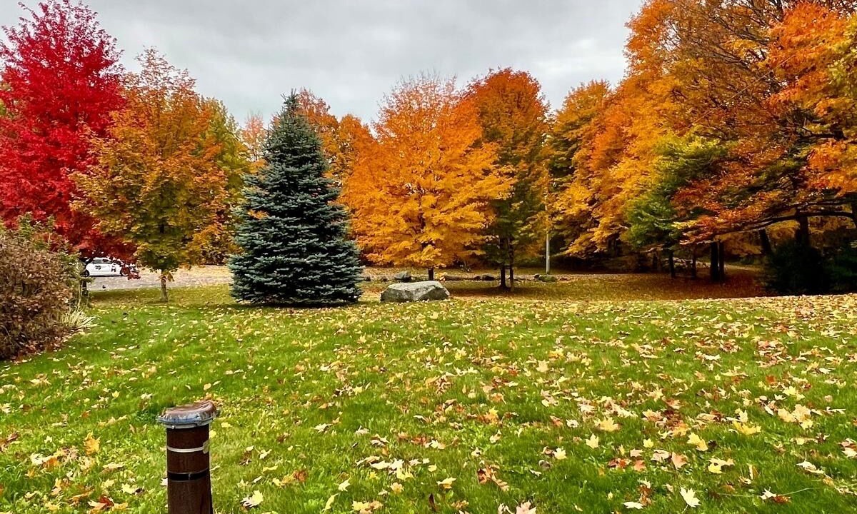 Photo of Outdoor in Colborne