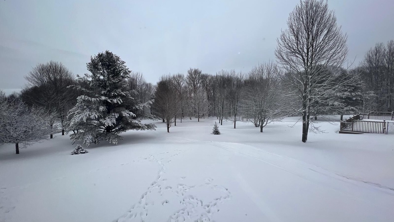 Photo of Outdoor in Colborne