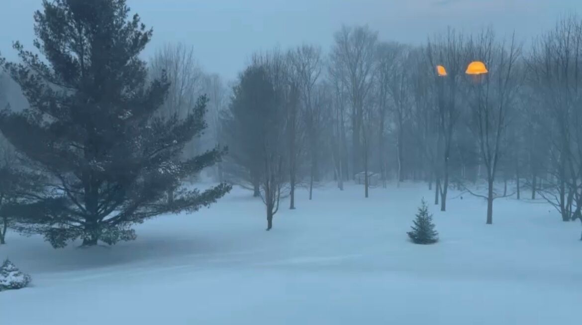 Photo of Others in Colborne