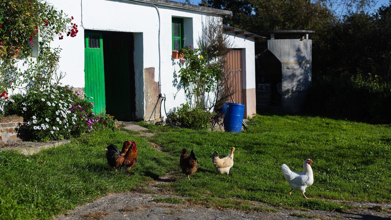 Photo of Outdoor in Valle de Carranza