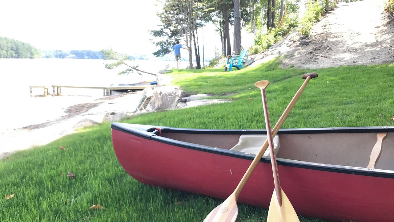 Photo of Others in Brighton