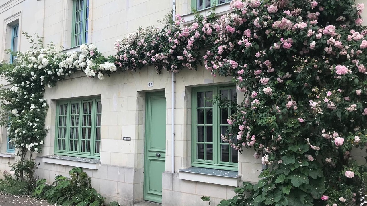 Photo of Outdoor in Fontevraud-l'Abbaye