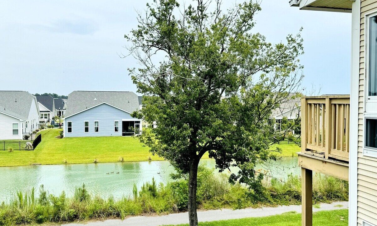 Photo of Outdoor in Little River
