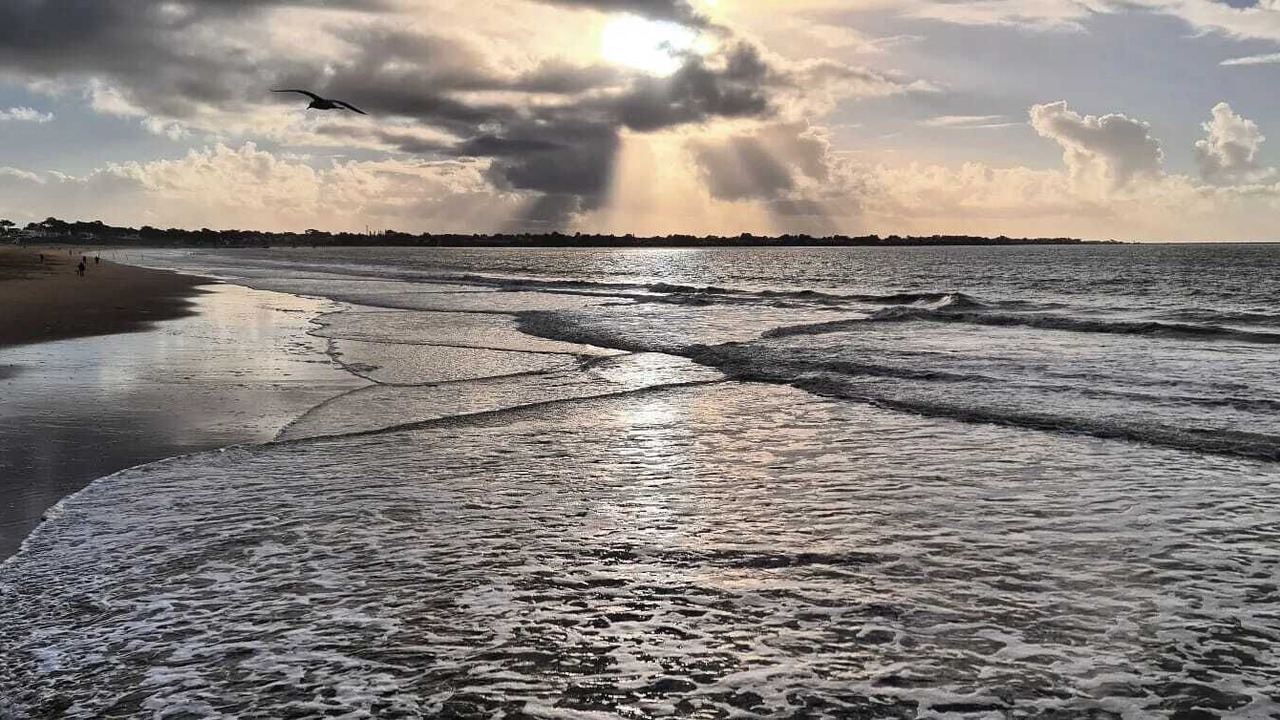 Photo of Others in Saint-Brevin-l'Ocean