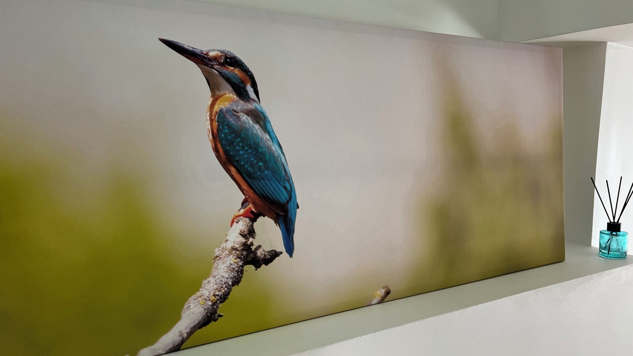 Photo of Others in Pontailler-sur-Saone