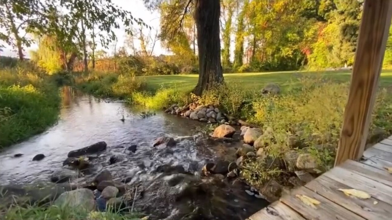 Photo of Outdoor in Three Rivers