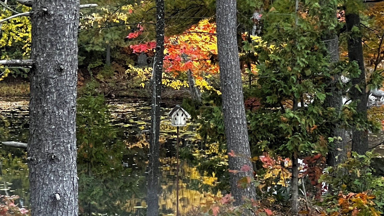 Photo of Outdoor in Trent Lakes
