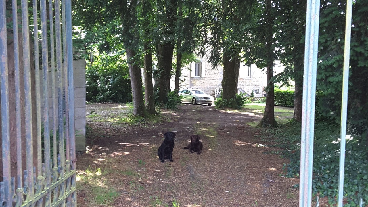 Photo of Outdoor in Juvigny-sous-Andaine