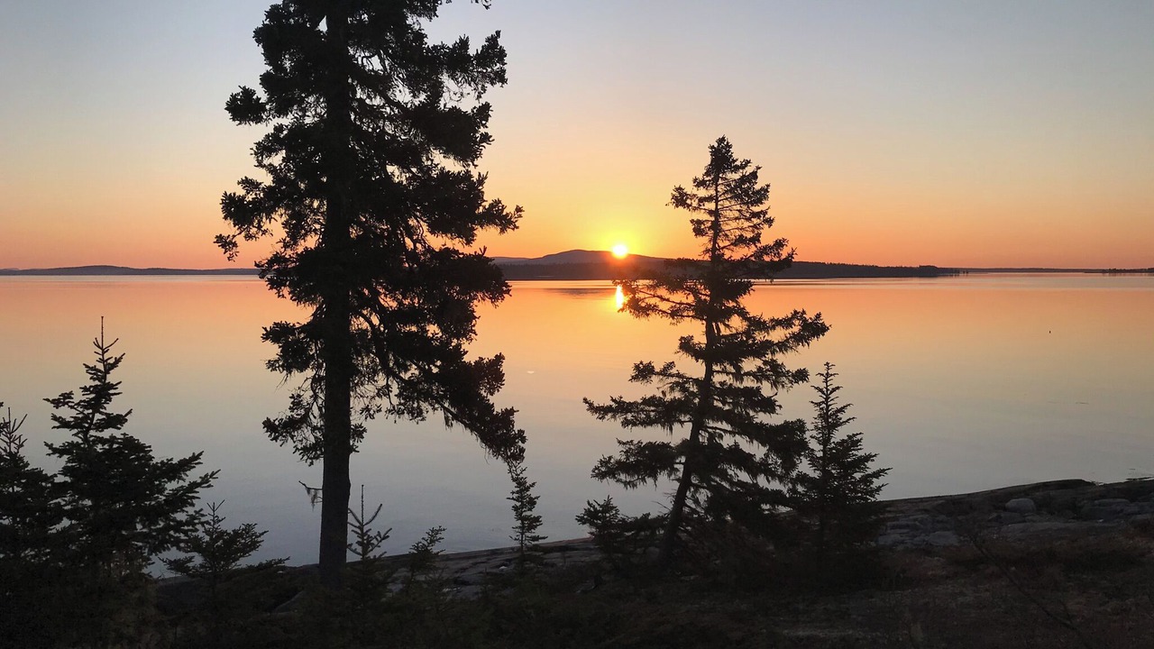 Photo of Outdoor in Brooklin