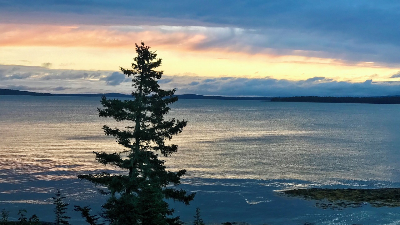 Photo of Others in Brooklin