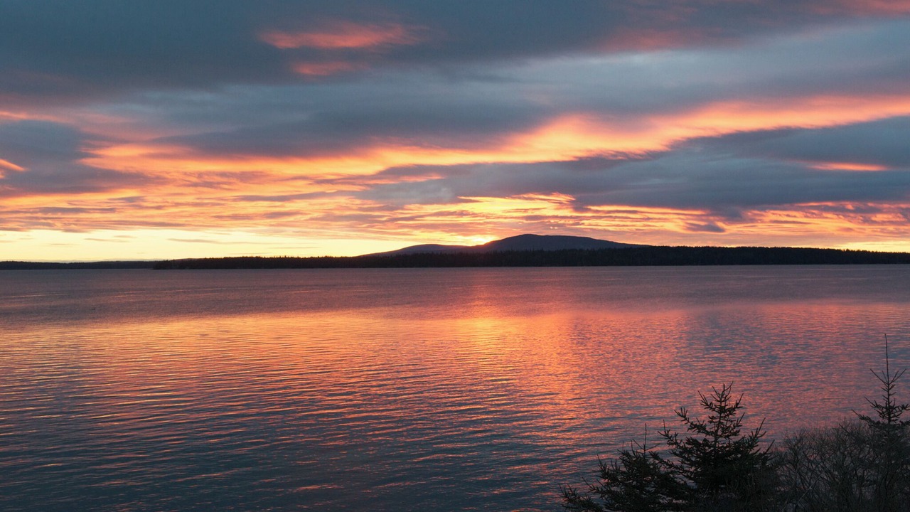 Photo of Outdoor in Brooklin