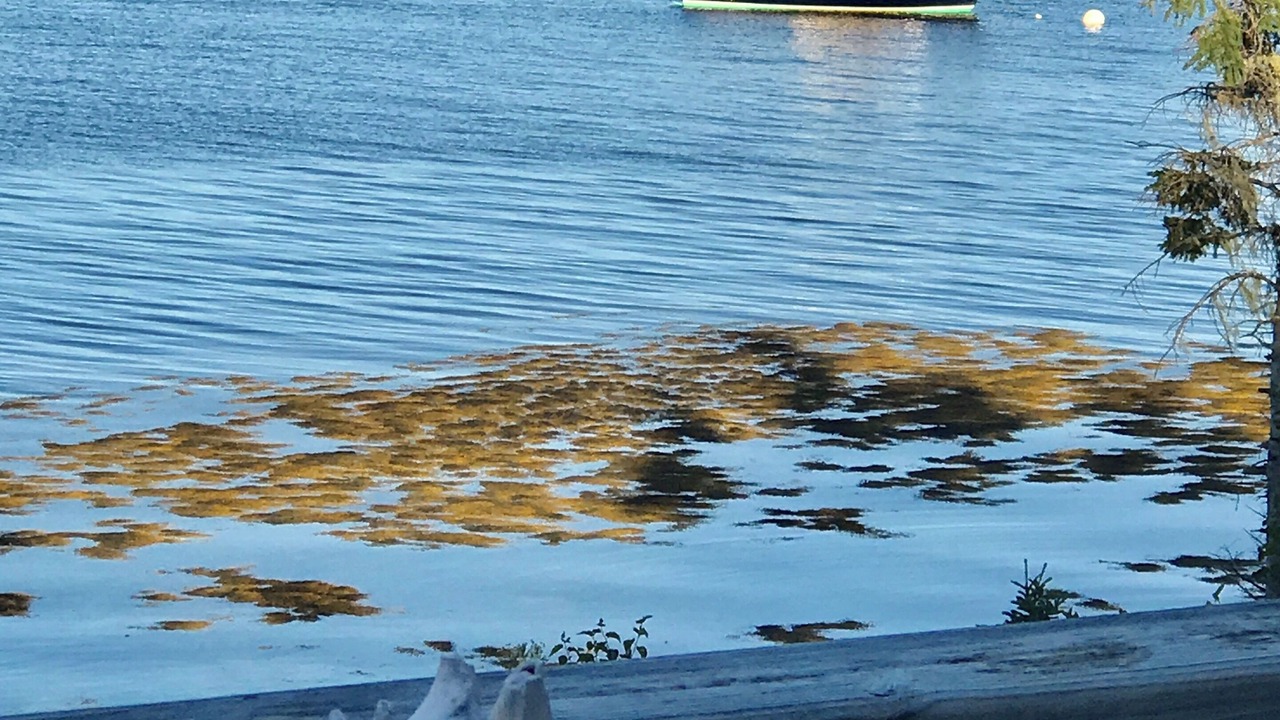 Photo of Outdoor in Brooklin