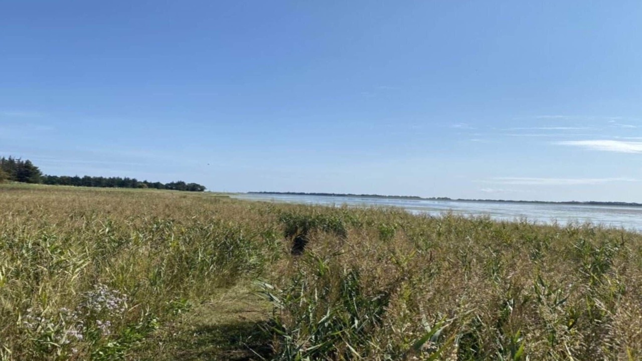 Photo of Others in Helberskov Strand