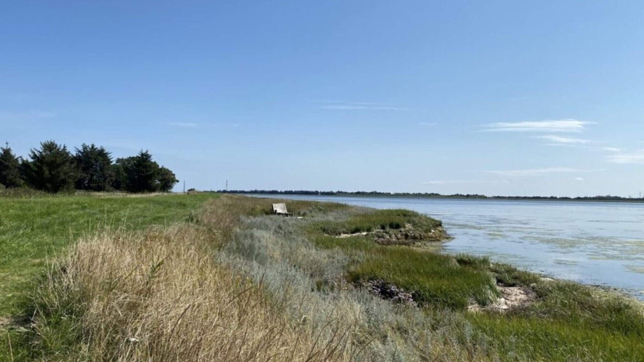 Photo of Others in Helberskov Strand