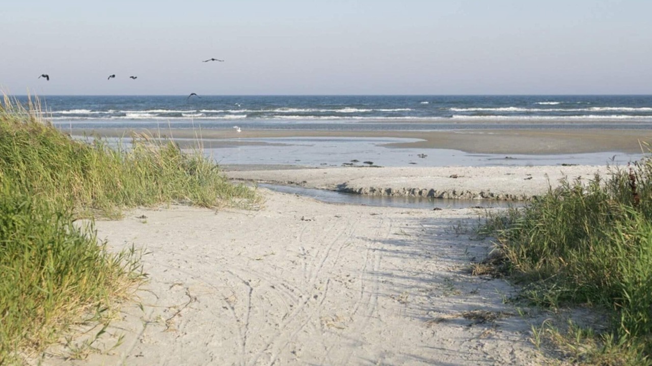 Photo of Others in Helberskov Strand