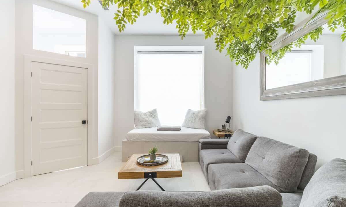 Photo of Others in Plateau Mont Royal