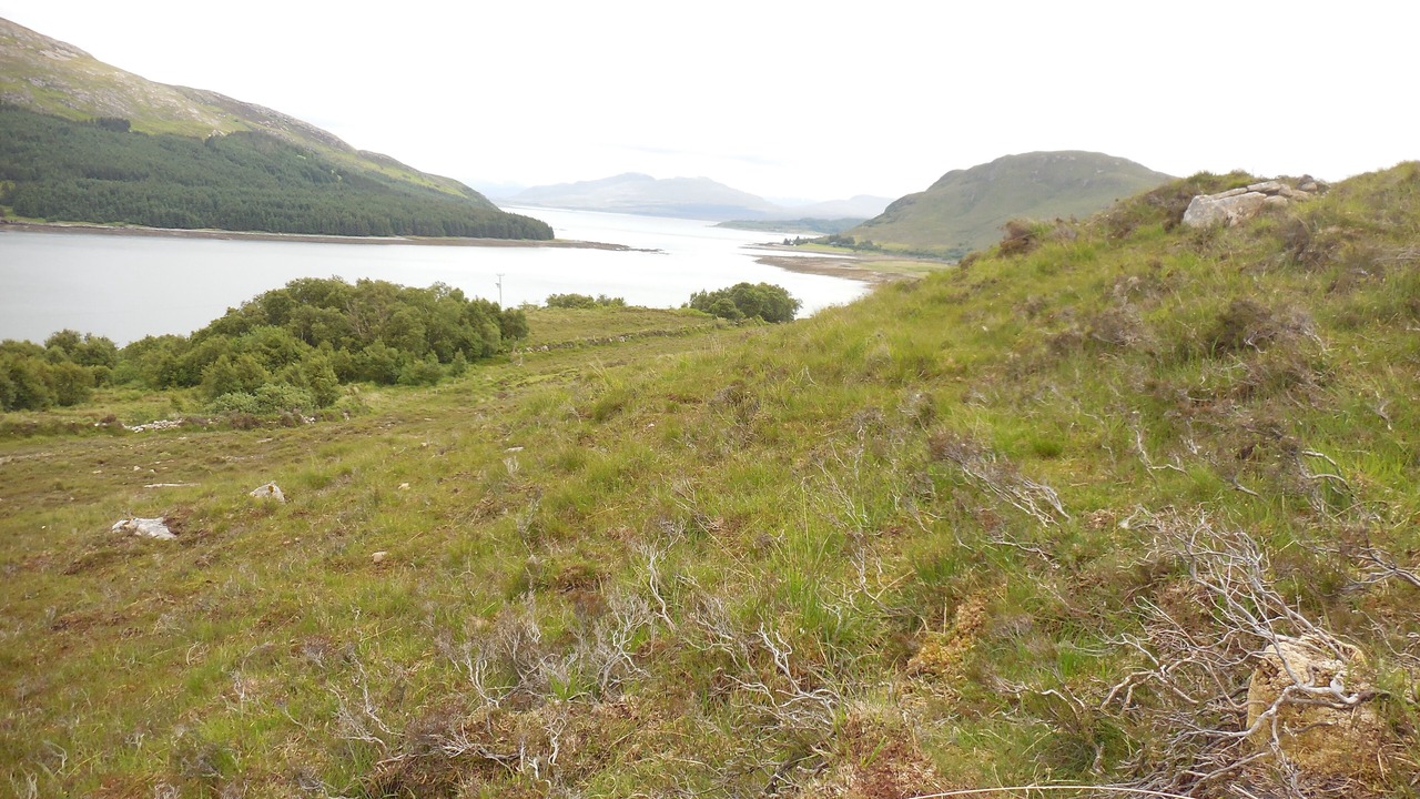 Photo of Others in Breakish