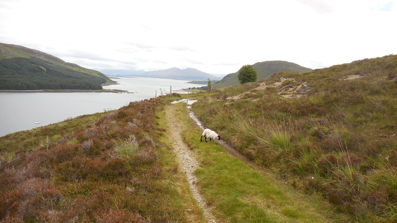 Photo of Others in Breakish