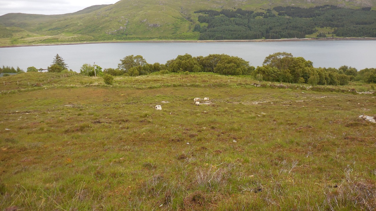 Photo of Others in Breakish