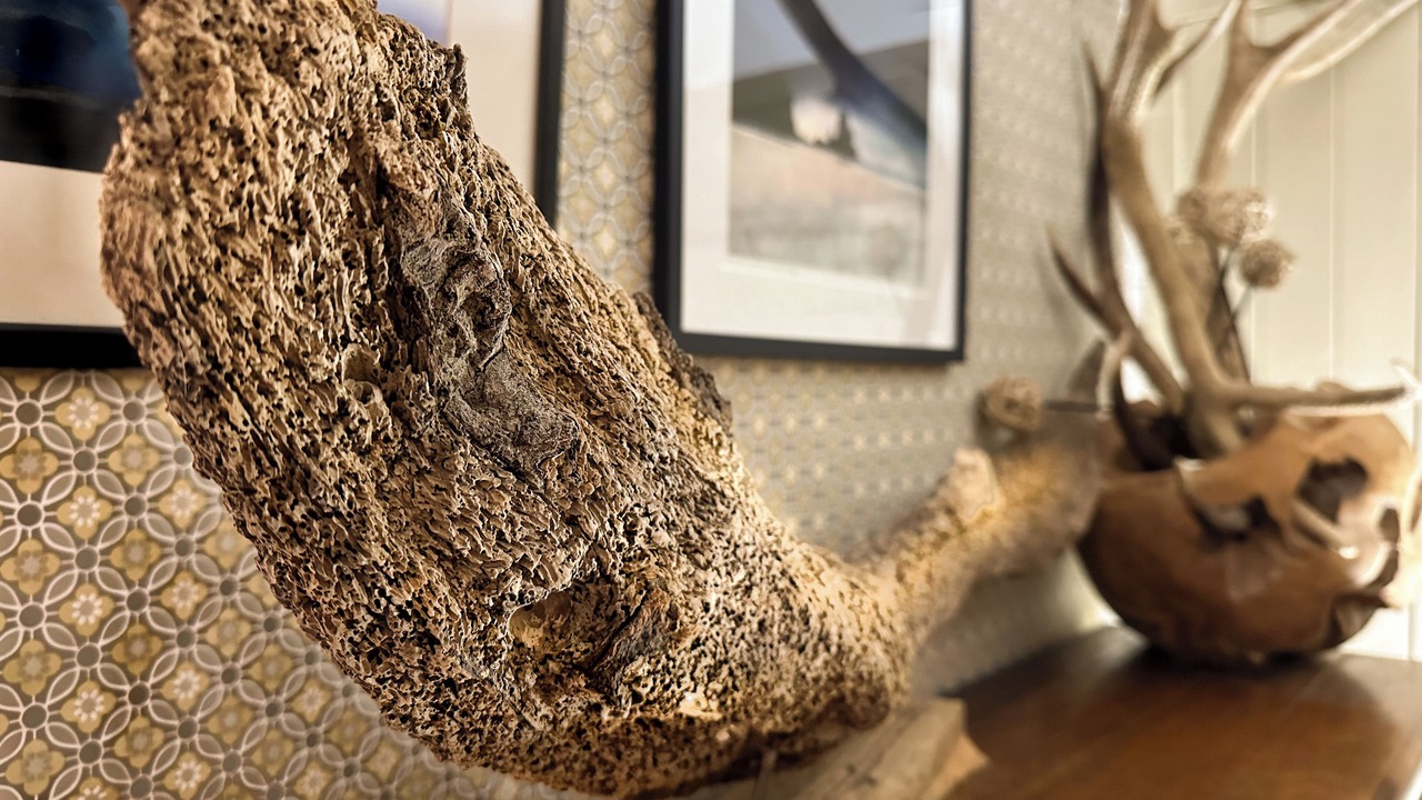 Photo of Others in Breakish